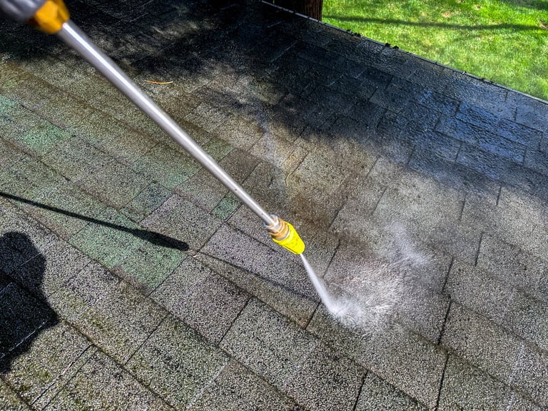 Fence cleaning service removing algae and weathering